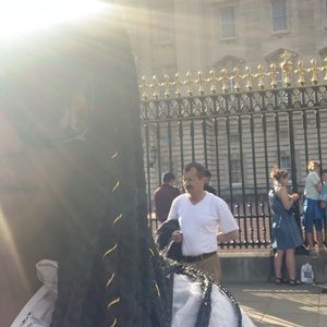 Meet your Posher, Tara